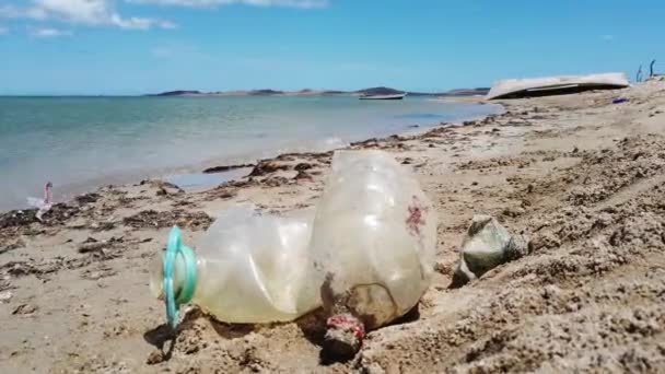 Residuos Plástico Transportados Por Viento Del Desierto Queda Atascado Los — Vídeo de stock