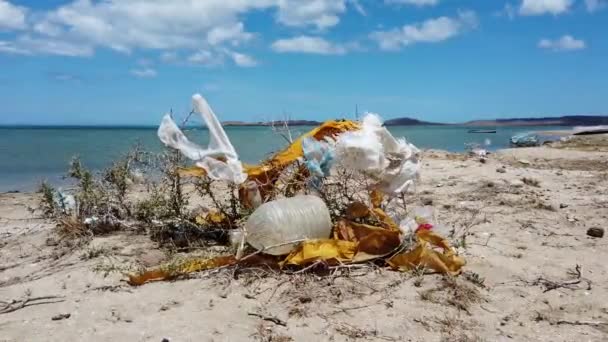 Odpady Tworzyw Sztucznych Zanieczyszcza Morze Plaże Wybrzeżu Morza Karaibskiego Cabo — Wideo stockowe