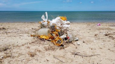 Plastik atıklar denizi ve Karayip Okyanusu kıyısındaki Cabo de la Vela sahillerini kirletir, Guajira Kolombiya - çöl çalıları rüzgârın estiği plastikleri engeller - denizleri kirletir, gezegeni kurtarır
