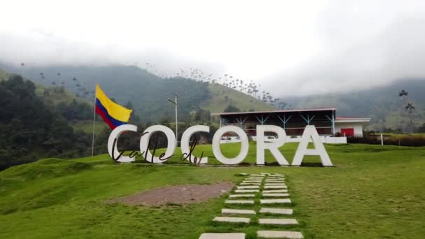 ココラ渓谷の風にコロンビア国旗 Salento — ストック動画