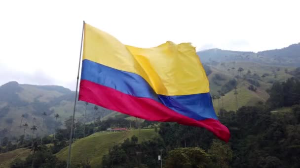 Colombia Flag Wind Cocora Valley Salento — Stock Video