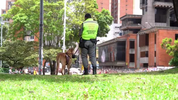 哥伦比亚 南美洲 波哥大 2022年 警察带着狗控制了首都坎德拉里亚市中心的街道 狗对抗毒品和爆炸物 — 图库视频影像