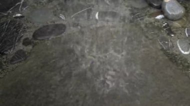 closeup footage of drops of water falling into a puddle