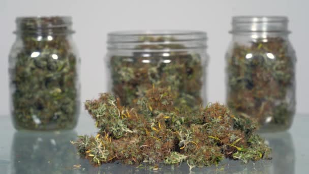 Coltivazione Interna Marijuana Cbd Thc Vasetti Vetro Essiccazione Dei Fiori — Video Stock