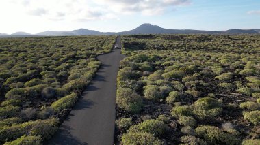 Spain, Lanzarote, Canary island - drone view of the beautiful landscape of the island of the atlantic ocean