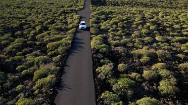 Spain, Lanzarote, Canary island - drone view of the beautiful landscape of the island of the atlantic ocean