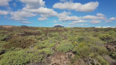 Spain, Lanzarote, Canary island - drone view of the beautiful landscape of the island of the atlantic ocean