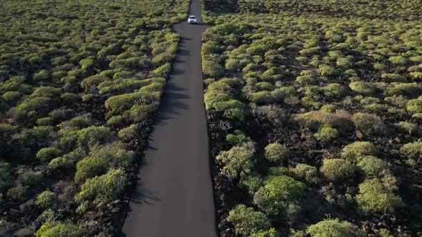 Spain Lanzarote Canary Island Drone View Beautiful Landscape Island Atlantic — Vídeos de Stock