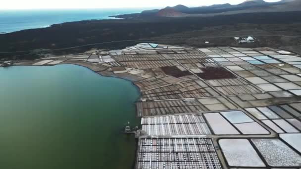Spain Drone Aerial View Janubio Salt Flats Mines Playa Del — Stok video