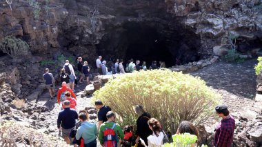 Europe, Spain, Lanzarote, Canary Islands 2023 - Cueva de los Verdes ( Cave of the Greens ) is a lava tube and tourist attraction of the Haria municipality, a tourist attraction in biosphere reserve
