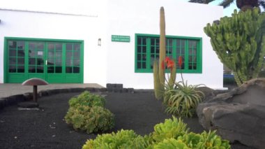 Europe, Spain, Lanzarote, Canary Islands 2023 Cesar Manrique foundation is a Manrique's studio home garden built into an old lava flow in Tahiche Las Palmas - a tourist attraction