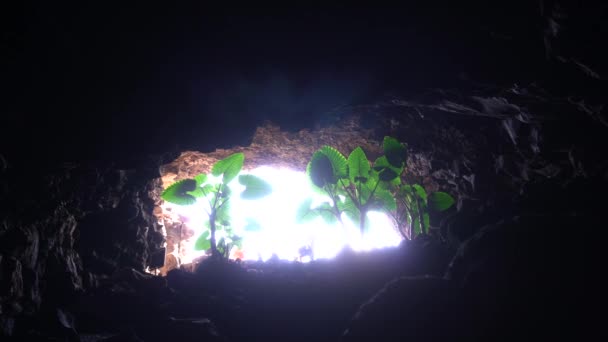 Europa Spanien Lanzarote Kanarieöarna Cueva Los Verdes Grönas Grotta Lavatunnel — Stockvideo