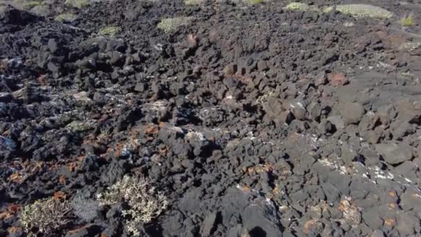 Europe Spain Lanzarote Canary Islands 2023 Timanfaya National Park Volcanic — Stok video
