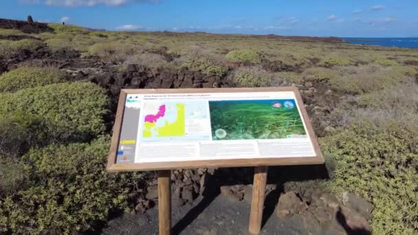 Europa Spanien Lanzarote Kanarieöarna 2023 Nationalparken Timanfaya Turistattraktion För Vulkaniska — Stockvideo