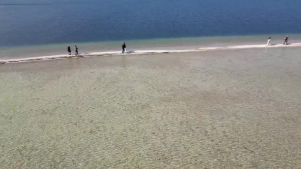 Італія Озеро Гарда Острів Сан Біяджо Острів Кроликів Мілкі Води — стокове відео