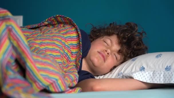 8歳の男の子は 寝室のアパートで家で寝ています 子供の頃のライフスタイル 深い睡眠で眠り 学校に行き その日を開始するまで目を覚ます — ストック動画