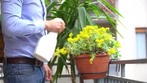 Homem Negócios Caucasiano Anos Idade Jardinagem Varanda Casa Rega Transplante — Vídeo de Stock