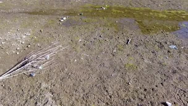 Italien Mailand 2023 Drohnen Luftaufnahme Von Dürre Und Trockenheit Navigli — Stockvideo
