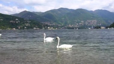 Avrupa, İtalya, Como 2023 - yenileme çalışmalarından sonra göl yolu yeniden açıldı - Como Gölü dünyanın dört bir yanından turistler tarafından işgal edildi - Lombardy 'nin doğal ve sanatsal güzelliği