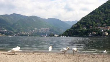 Avrupa, İtalya, Como 2023 - yenileme çalışmalarından sonra göl yolu yeniden açıldı - Como Gölü dünyanın dört bir yanından turistler tarafından işgal edildi - Lombardy 'nin doğal ve sanatsal güzelliği