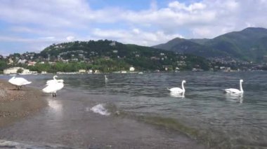 Avrupa, İtalya, Como 2023 - yenileme çalışmalarından sonra göl yolu yeniden açıldı - Como Gölü dünyanın dört bir yanından turistler tarafından işgal edildi - Lombardy 'nin doğal ve sanatsal güzelliği