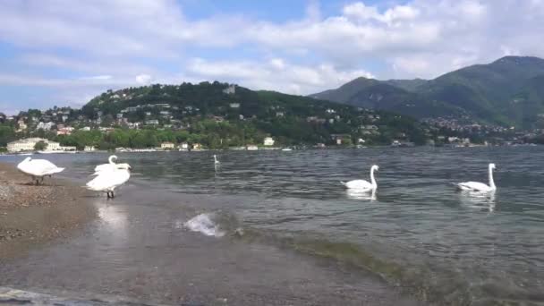 意大利 科莫2023 翻新工程后 湖面重新开放 科莫湖被来自世界各地的游客入侵 伦巴第的观光和自然与艺术之美 — 图库视频影像