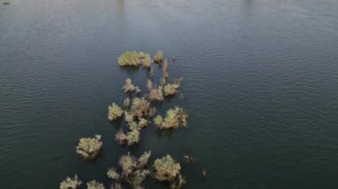 Pavia Lombardy - Ponte della Becca 'daki Po ve Ticino nehrinin insansız hava aracı görüntüsü - İtalya' daki aşırı kuraklıktan sonra sel ve nehir seviyesinde artış, iklim değişikliği