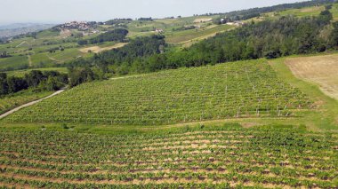 İtalya, Oltrepo 'nun Pavese' si, şarap üretimi için üzüm bağları olan tepeler, asma sıraları Tuscan Apennines insansız hava aracının manzara manzarası, Montalto Pavese Broni yakınlarında turistik yerler