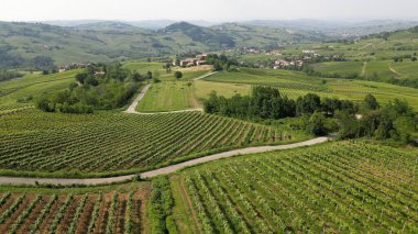 İtalya, Oltrepo 'nun Pavese' si, şarap üretimi için üzüm bağları olan tepeler, asma sıraları Tuscan Apennines insansız hava aracının manzara manzarası, Montalto Pavese Broni yakınlarında turistik yerler
