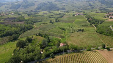 İtalya, Oltrepo 'nun Pavese' si, şarap üretimi için üzüm bağları olan tepeler, asma sıraları Tuscan Apennines insansız hava aracının manzara manzarası, Montalto Pavese Broni yakınlarında turistik yerler