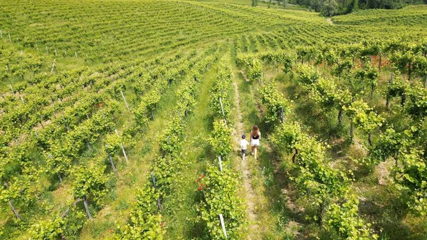 Mother Son Boy Child Walk Run Vines Vineyard View Drone — Stock Photo, Image