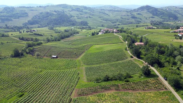 イタリア Oltrepo Pavese ワインの生産のためのブドウ畑と丘 ブドウの行 トスカーナ アペニンドローンからの風景 モンタルト パヴェーゼ ブロニ近くの観光名所 — ストック写真
