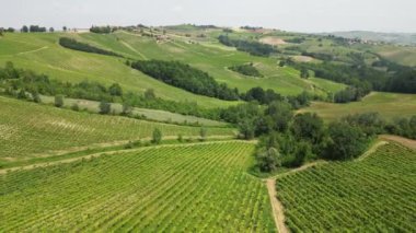 İtalya, Oltrepo 'nun Pavese' si, şarap üretimi için üzüm bağları olan tepeler, asma sıraları Tuscan Apennines insansız hava aracının manzara manzarası, Montalto Pavese Broni yakınlarında turistik yerler