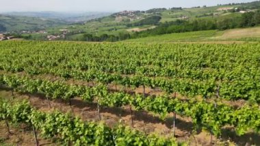 İtalya, Oltrepo 'nun Pavese' si, şarap üretimi için üzüm bağları olan tepeler, asma sıraları Tuscan Apennines insansız hava aracının manzara manzarası, Montalto Pavese Broni yakınlarında turistik yerler