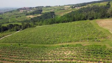 İtalya, Oltrepo 'nun Pavese' si, şarap üretimi için üzüm bağları olan tepeler, asma sıraları Tuscan Apennines insansız hava aracının manzara manzarası, Montalto Pavese Broni yakınlarında turistik yerler