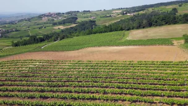 イタリア Oltrepo Pavese ワインの生産のためのブドウ畑と丘 ブドウの行 トスカーナ アペニンドローンからの風景 モンタルト パヴェーゼ ブロニ近くの観光名所 — ストック動画