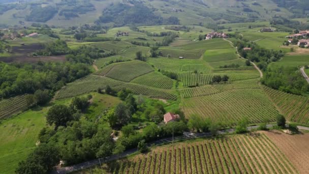 Italy Oltrepo Pavese Hills Vineyards Production Wine Rows Vines Tuscan — Stock Video