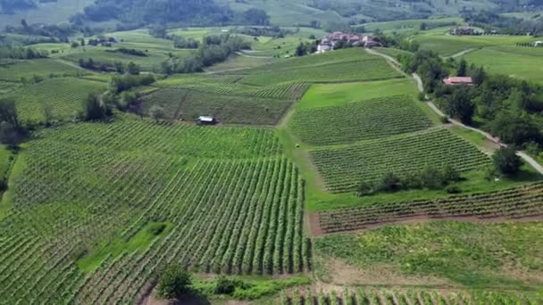 Itália Oltrepo Pavese Colinas Com Vinhas Para Produção Vinho Linhas — Vídeo de Stock
