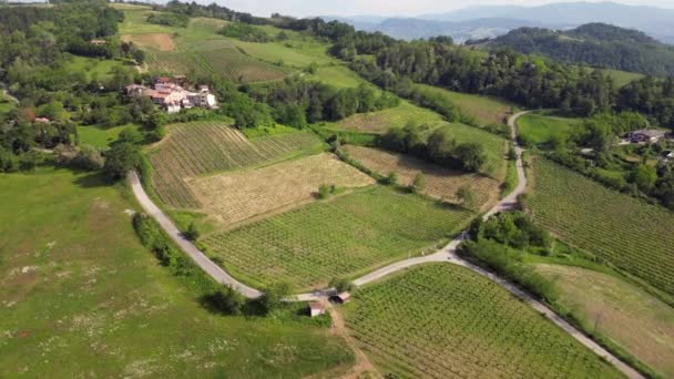 Ιταλία Oltrepo Pavese Λόφοι Αμπελώνες Για Την Παραγωγή Κρασιού Σειρές — Αρχείο Βίντεο