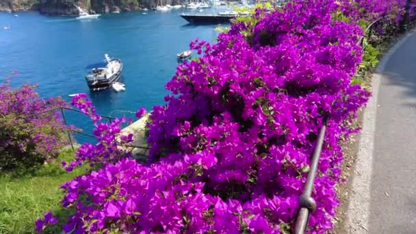 Europa Italia Portofino Bahía Portofino Tigullio Parque Nacional Reserva Natural — Vídeos de Stock