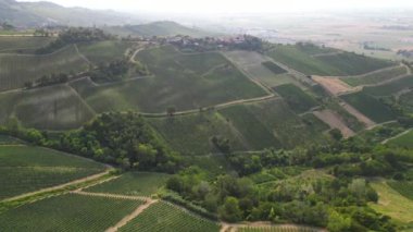 İtalya, şarap üretimi için üzüm bağları olan tepeler, sıra sıra asmalar - Tuscan Apennines manzara manzarası