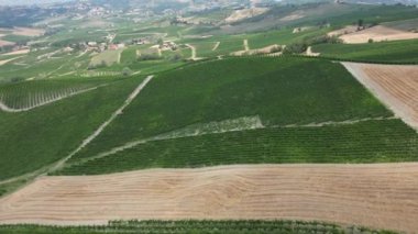 İtalya, şarap üretimi için üzüm bağları olan tepeler, sıra sıra asmalar - Tuscan Apennines manzara manzarası