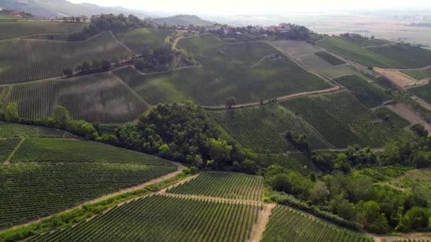 Italia Colinas Con Viñedos Para Producción Vino Hileras Vides Toscana — Vídeos de Stock