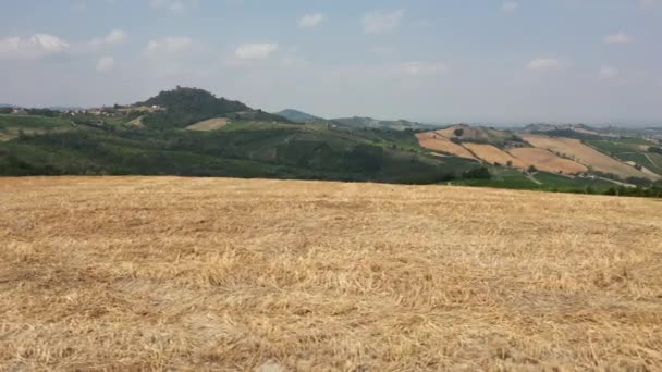 ヨーロッパ イタリア モンタルト舗装オルトゥッポ ロンバルディアとトスカーナの間のアペンヌの丘の上の村で小麦畑とブドウ畑の無人航空眺め ワイン生産 — ストック動画