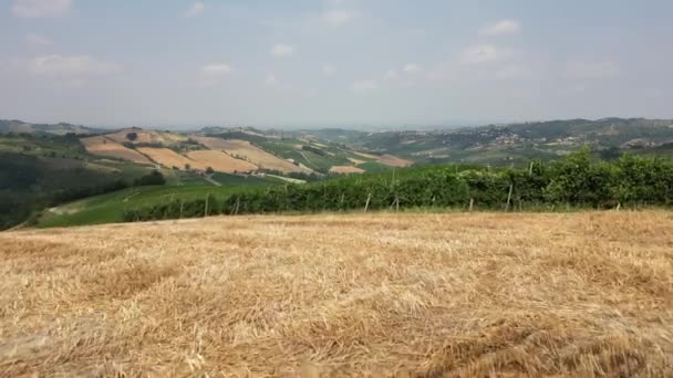 イタリア ワインの生産のためのブドウ畑を持つ丘 ワインの列 トスカーナ アペネンの風景ビュー — ストック動画