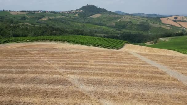 イタリア ワインの生産のためのブドウ畑を持つ丘 ワインの列 トスカーナ アペネンの風景ビュー — ストック動画