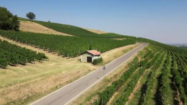Avrupa, İtalya, Broni - Pavia 'dan Toskana' daki Pontremoli 'ye giden Lombardiya kırsalında, Via Francigena Abati' den geçen daha fazla hacı var - üzüm bağından geçen