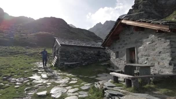 Europa Alpy Valmalenco Sondrio Alpe Gera 2023 Dojenie Krowy Celu — Wideo stockowe