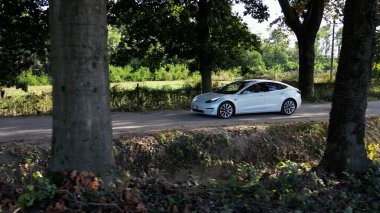 Tesla arabası yeşil bir ormanın içinden geçiyor. yüksek kaliteli fotoğraf