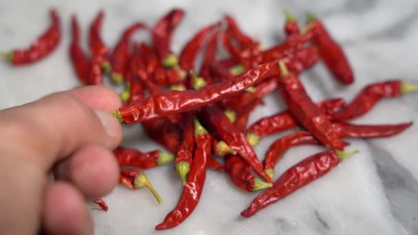 Kryddig Röd Chili Skär Och Laga Mat Med Chili För — Stockvideo